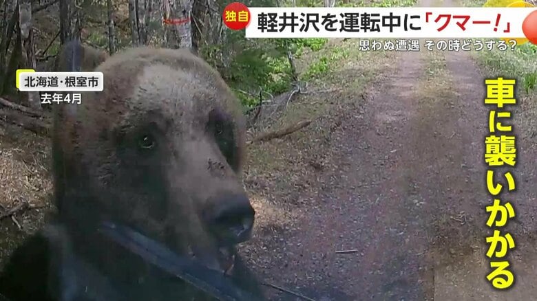 車に襲い掛かってきたクマ（提供：北海道警）