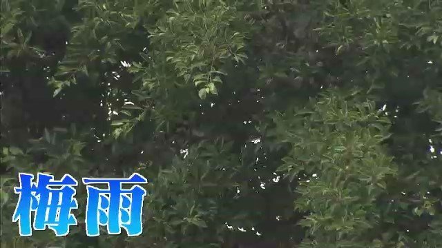 梅雨時期を健康に乗り切る