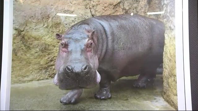 「長寿動物」のパネル展 仙台市八木山動物公園