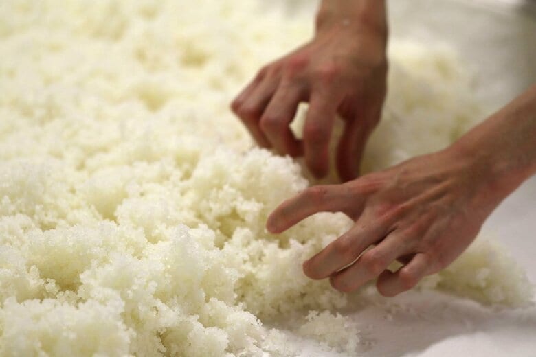 麹づくりをする手（提供：旭酒造）