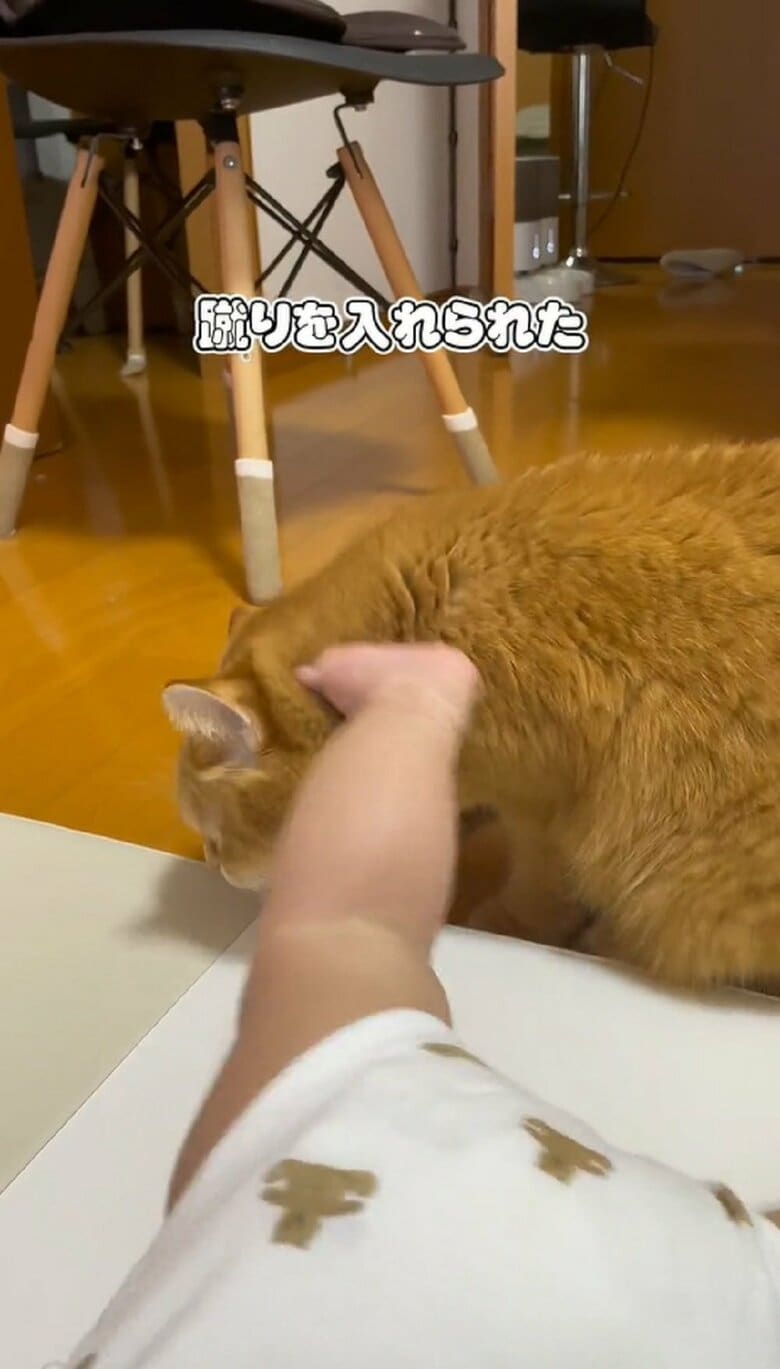 すると蹴りを入れられた！