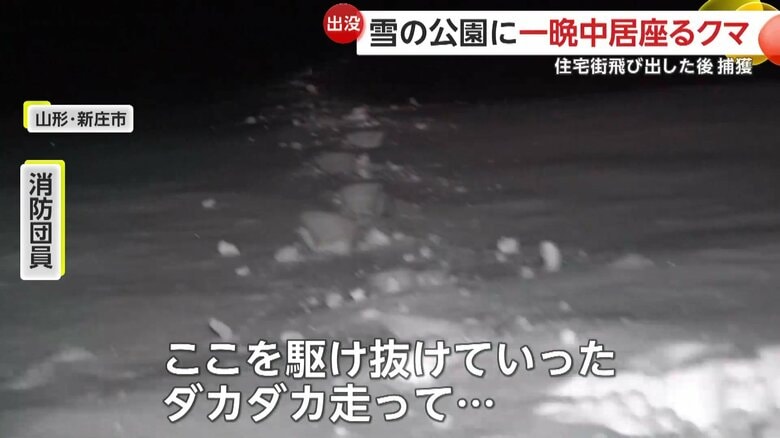 クマと遭遇した時の様子を語る、消防隊員