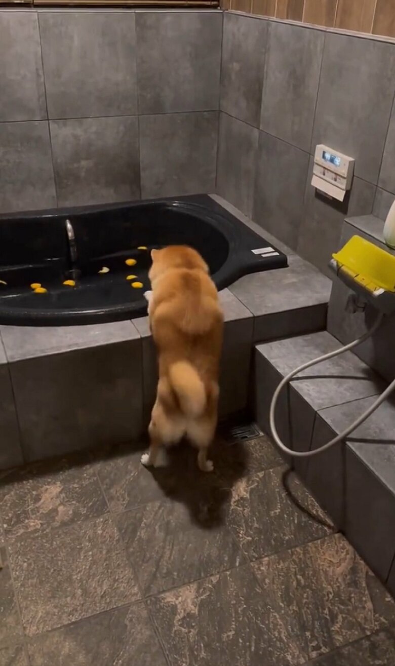 体勢を整えて…