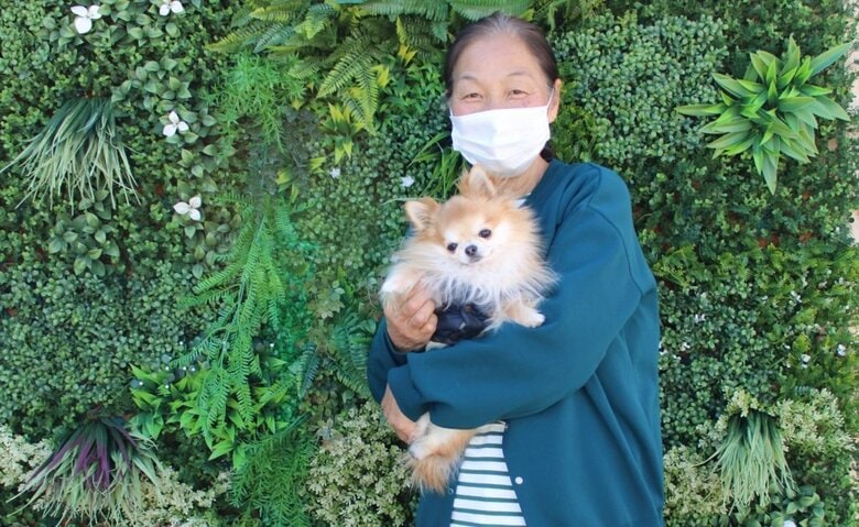 保護犬のサンは店の名前の由来 ※普段は店ではなく事務所にいる