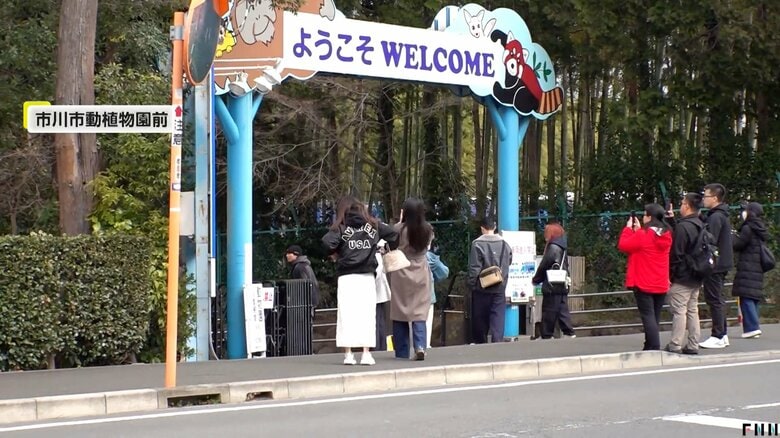 市川市動植物園に来場する人々