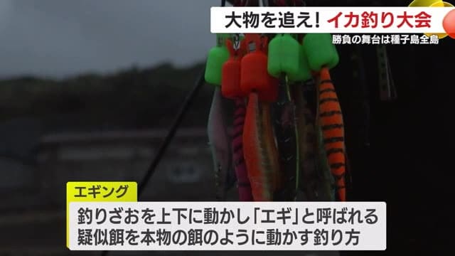 カラフルな「エギ」