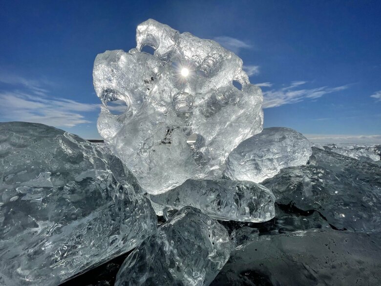 太陽の光が透けて見える（提供：りなさん）