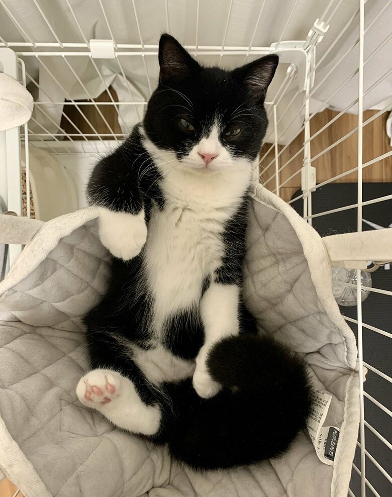 くつろぎ姿がかっこいい