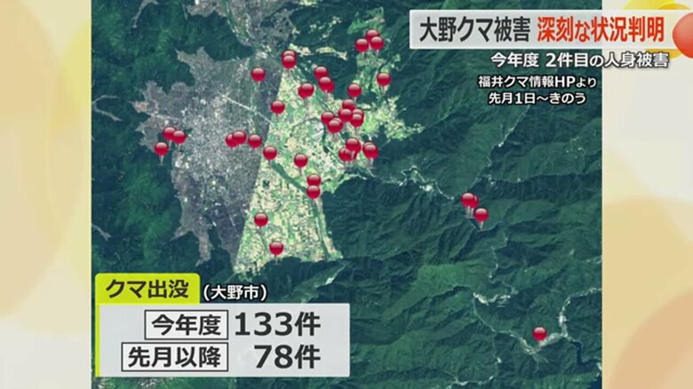 大野市内11月20日までの出没件数