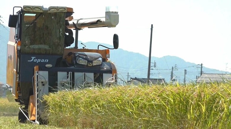葉月みのりの収穫