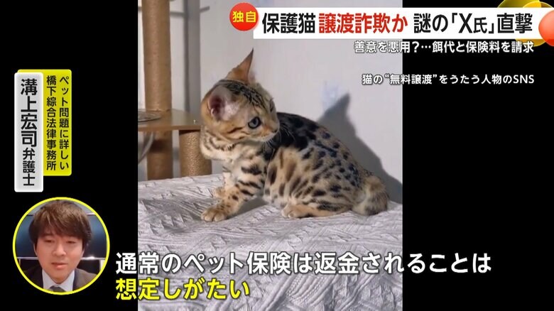 詐欺の可能性が非常に高いと指摘するペット問題に詳しい溝上宏司弁護士