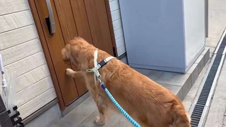 ドアを優しく“ノック”もしていた