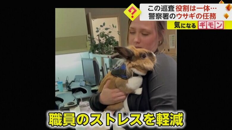 （Yuba City Police Department）