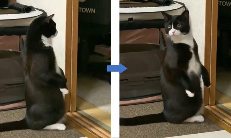 ぐらつくことなく振り返ることができる