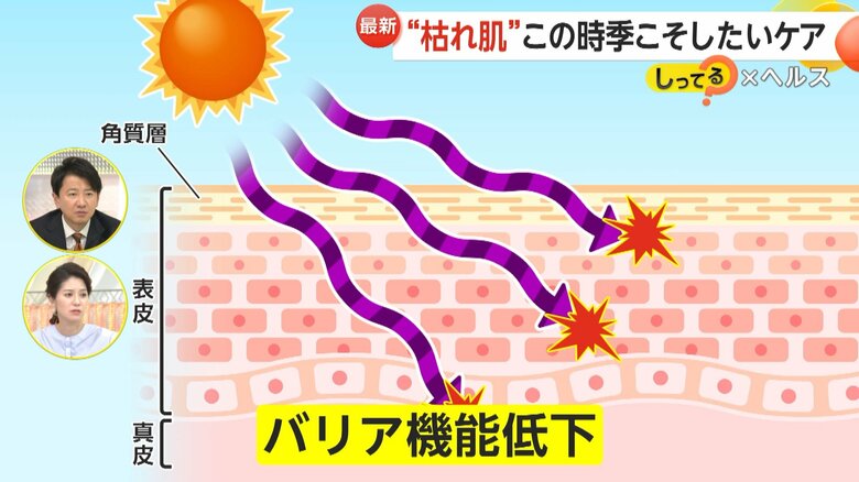 冬の乾燥により炎症やシミ、シワを引き起こす肌の仕組み④