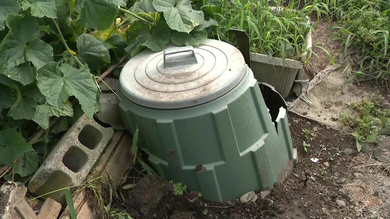 荒らされたコンポストのゴミ