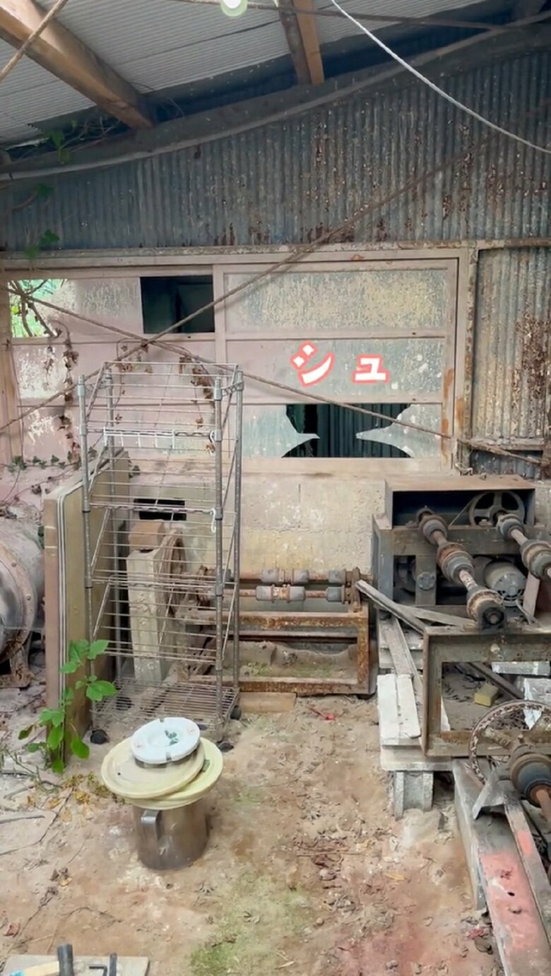 シュ！　抜け出す様子を捉えていた