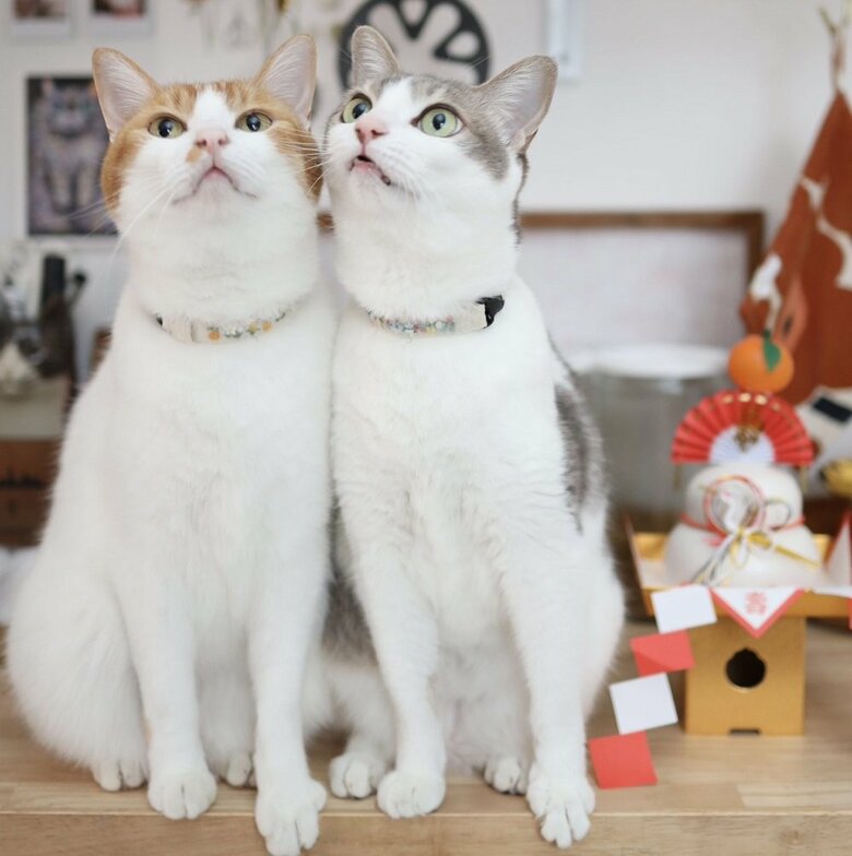 左：カヌレくん　右：アメリちゃん