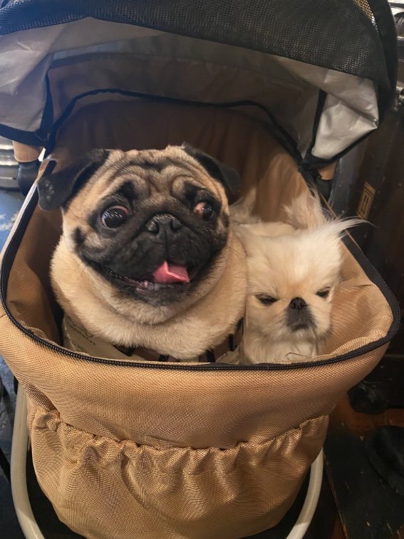 提供：よこむすびさん