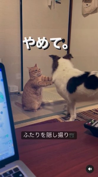 提供：naomiさん