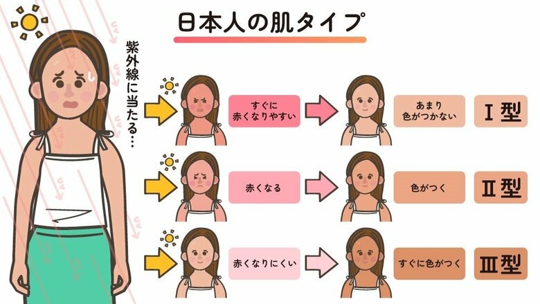 日本人の肌タイプ