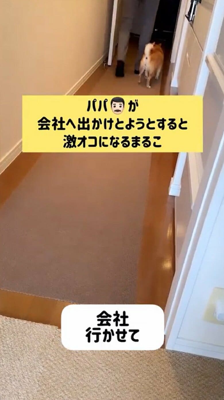 しかしパパさんは淡々と玄関へ足を進めていく