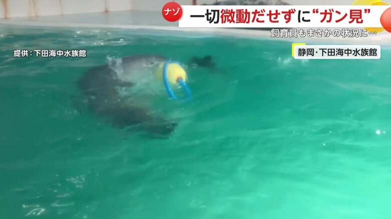 普段は遊ぶことが大好きという