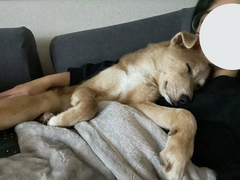 腕の中で寝落ち