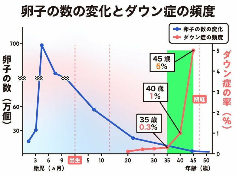 ダウン症の頻度は加齢と共に増加していく
