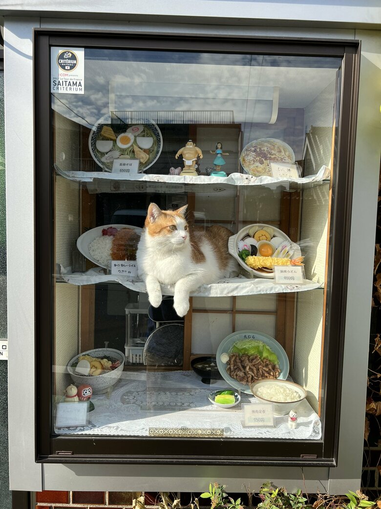 この日は真ん中の段