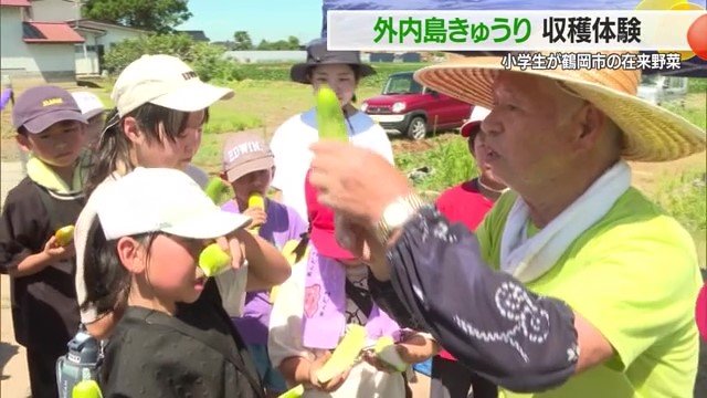 子どもたちに在来野菜・外内島きゅうりの収穫の仕方を説明する生産者 阿部正一さん