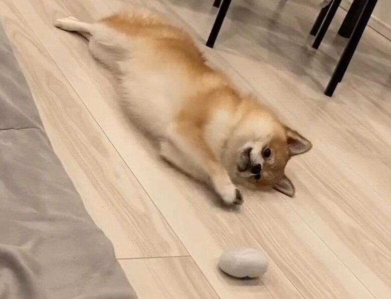 近くのおもちゃを取れない