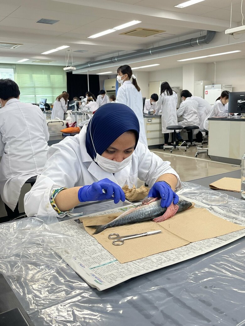 実習（11月）提供：宮崎大学医学部感染症学講座寄生虫学分野