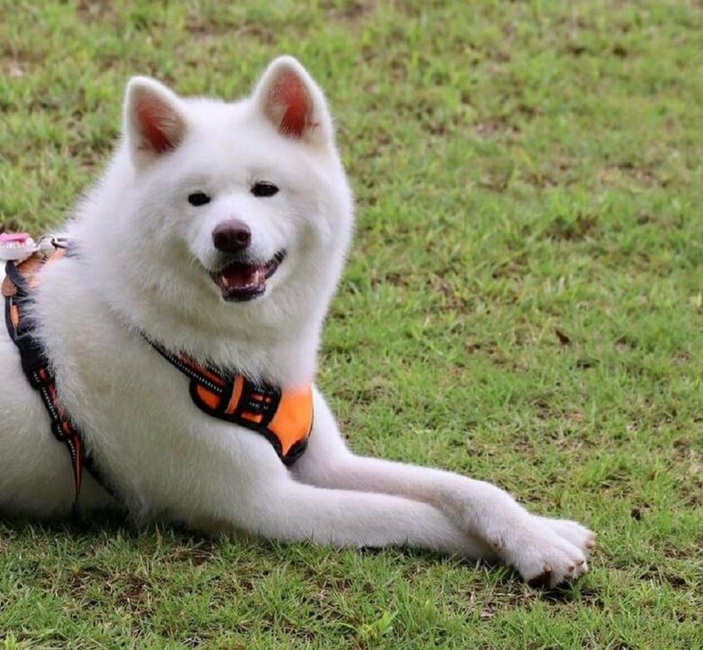 腕を組み伏せの体勢で友達を眺めているユキちゃん