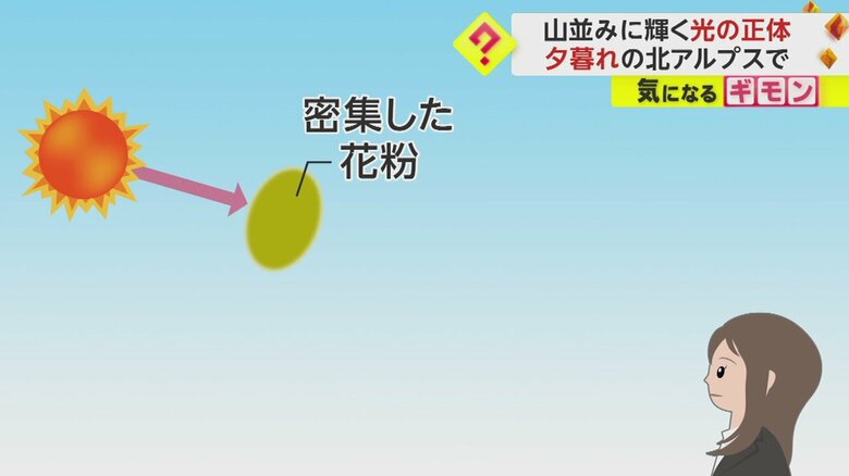 花粉光環が見える仕組み②