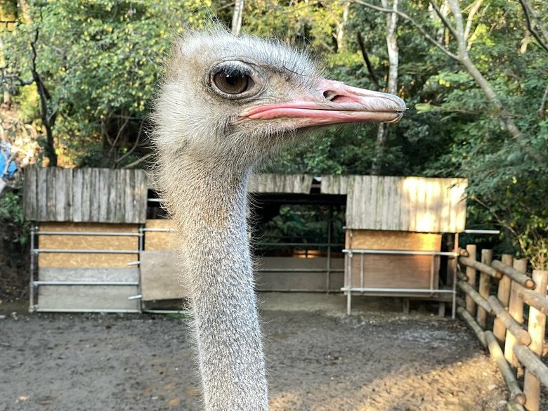 提供：長崎バイオパーク