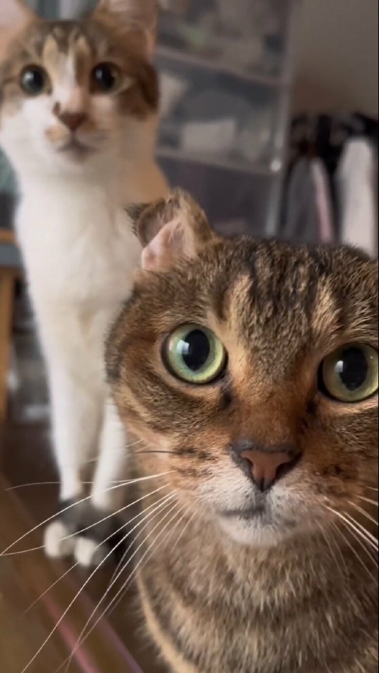 歌を繰り返すと…