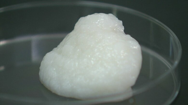 セルロースナノファイバー