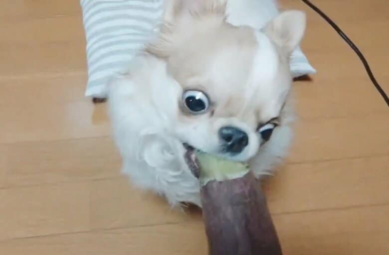 まずはパクリ