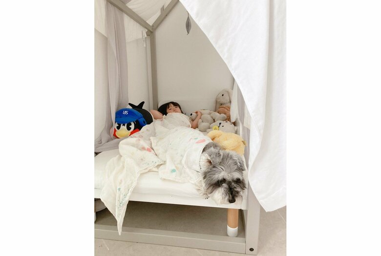 トトちゃんとうにちゃん（提供：jiji&totoさん）
