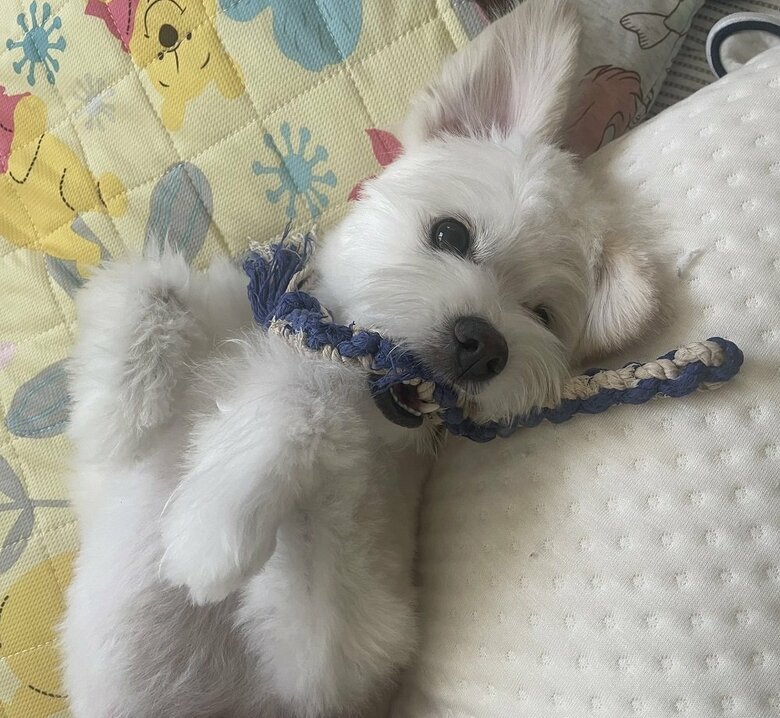 元気いっぱい遊び中