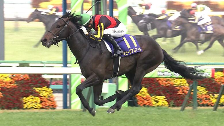 フェスティバルヒルの半兄のミュージアムマイルは皐月賞を制覇