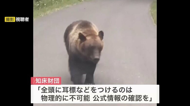 知床財団「公式の情報の確認を」