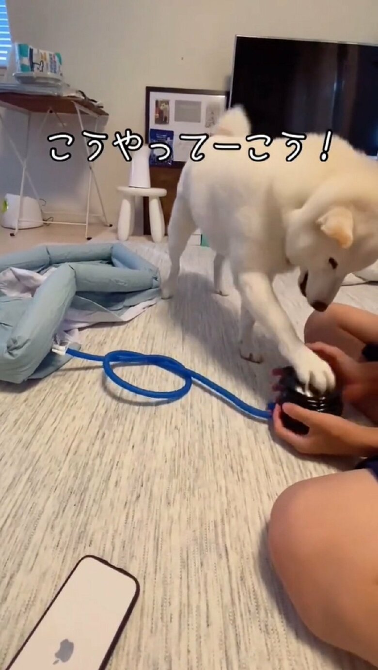 右前足にチェンジして挑戦するも