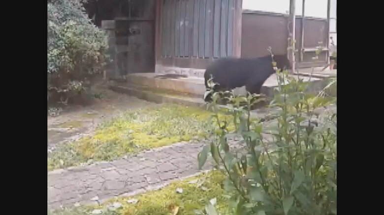 16日午前7時すぎ 富山市小杉（視聴者提供）