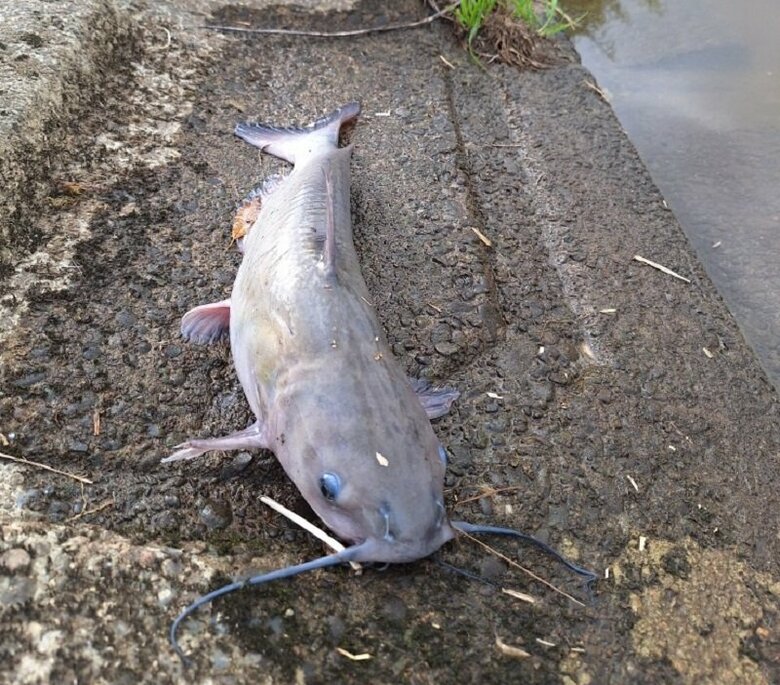 提供：木下さん