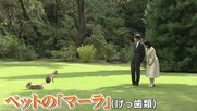 秋篠宮さまは「マーラ」常陸宮さまは愛犬「福姫」愛子さまはラオス訪問準備…皇室担当記者が注目するお誕生日近影映像