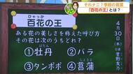 ゴールデンウイーク前に知っておきたい5月1日の天気と牡丹・芍薬の見頃情報【佐賀県】
