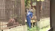 “ファーストバイトは緊張気味” とべ動物園の「ジェニファー」と「ハヤト」外にそろって初登場 【愛媛】