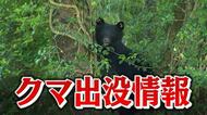 【クマ出没情報】金沢市河原市町地内でクマ目撃か